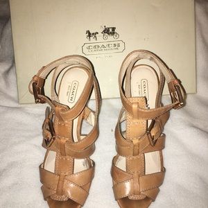 Coach, Stefanie Vacchetta